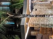 Syntopia, vacances design coeur Crète.