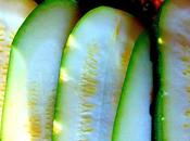 Lasagne courgettes "végétalement végétale" parfums mexicains