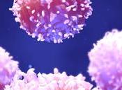 MOTILITÉ CELLULAIRE globules blancs rament aussi
