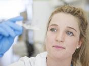 CANCER SEIN venin abeilles vient bout cellules cancéreuses