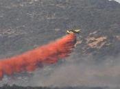 feux forêt touché Liban Syrie maîtrisés