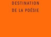 Quelques extraits livre Destination poésie François Leperlier