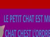 petit chat mort episode chest l’ordre choses