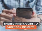 Guide débutant Facebook Insights