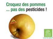 foyers français contaminés pesticides