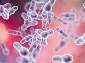 DIFFICILE Comment dans l'intestin bactérie survit l’hypoxie