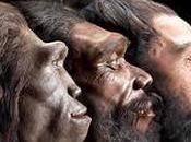 Qu'ai-je appris Covid-19?