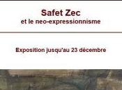 Galerie Schwab Beaubourg exposition SAFET jusqu’au Décembre 2020