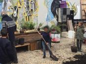 Guerilla Gardening révolution verte