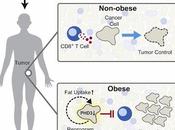 #Cell #obésité #microenvironnementtumoral #immunité #TCD8+ L’Obésité Façonne Métabolisme Microenvironnement Tumoral pour Supprimer l’Immunité Anti-Tumorale