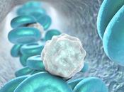 COVID-19 membranes globules blancs pour transporter médicaments