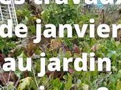 travaux janvier jardin urbain permaculture (vidéo)