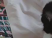 1655. Weekend lecture était HUIT fois Noël. [suivi tout long weekend]