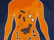 MICROBIOTE bactéries intestinales favorisent cancer sein