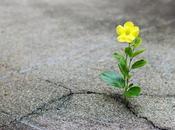 Relative Futilité L'Espoir