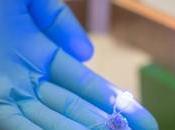 OBÉSITÉ dispositif implantable supprime faim