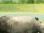 chaussures l'hippopotame, David Dumortier, illustrations Pierre Pratt