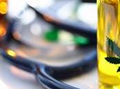CANNABIS, asthme autres troubles allergiques