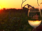 L’hiver bonne compagnie avec Montlouis…