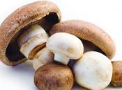 CHAMPIGNONS vitamine rien