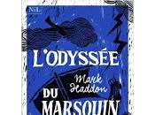 L’Odyssée marsouin Mark Haddon (The Porpoise)