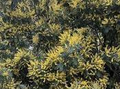 Parlons d'anniversaire