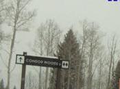 petit-fils épice façon skier