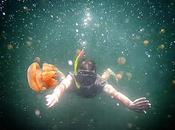 Papouasie Nouvelle-Guinée