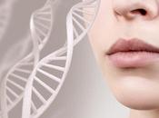 VISAGE gènes pour façonner traits