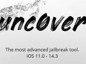 Tutoriel Jailbreak 14.3 iPhone iPad (Unc0ver 6.0.0)