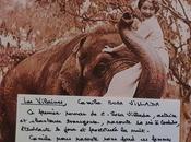 L’amour temps éléphants