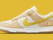 Nike Dunk arrive dans nouveaux coloris