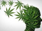ALZHEIMER cannabidiol bénéfique contre formes familiales