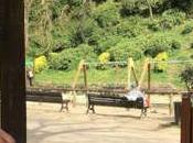 échecs favorisent lien social dans notre société