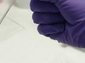 BLESSURE MUSCULAIRE L’hydrogel divise temps cicatrisation