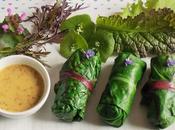 Nems blettes sarrasin courge (Vegan)