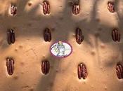 meilleur brownie levain sans