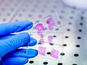 PHAGOTHÉRAPIE nouvelle voie contre maladies foie
