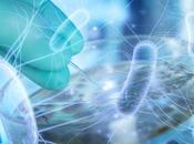 MICROBIOTE INTESTINAL nous fait aussi peau