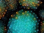 MICROBIOTE Comment notre corps chérit bonnes bactéries
