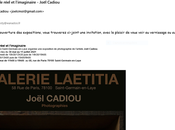 Exposition Joël Cadiou Galerie Laetitia Juillet 2021