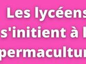 lycéens Bruay Labuissière s'initient permaculture (vidéo)