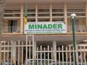 Crise dans Filière tabac soulèvement prépare contre Minader l’Est