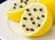 Anti-moustique citron clous girofle