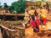 Cameroun personnes trouvent mort dans mines d’or