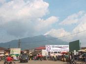 Cameroun guerre fratricide perspective Nkongsamba