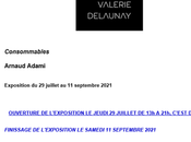 Galerie Valérie Delaunay Arnaud Adami