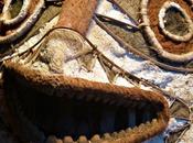 Sommaire juillet 2021