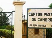 Cameroun Sécurité sanitaire Consolider l’expertise société civile