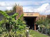 Déjeuner Splash, bistrots parisiens